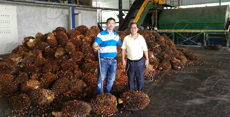 Malaysia Screw Oil Palm Mill Plant Palm Oil Press Machine Manual
