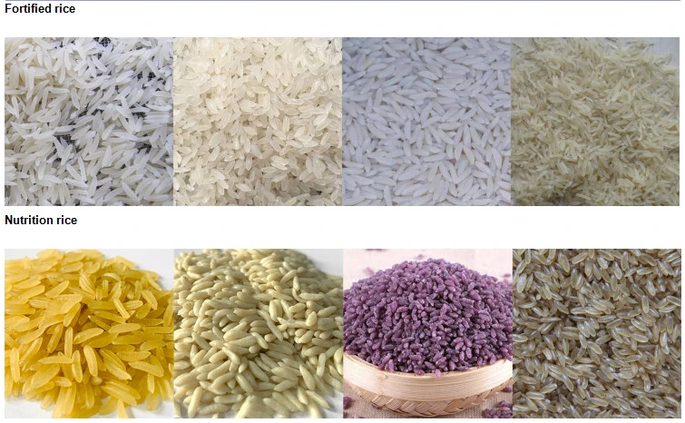 Automatic Nutritional Rice Equipment Reconstitute Rice Machine Arificial Rice Extruder
