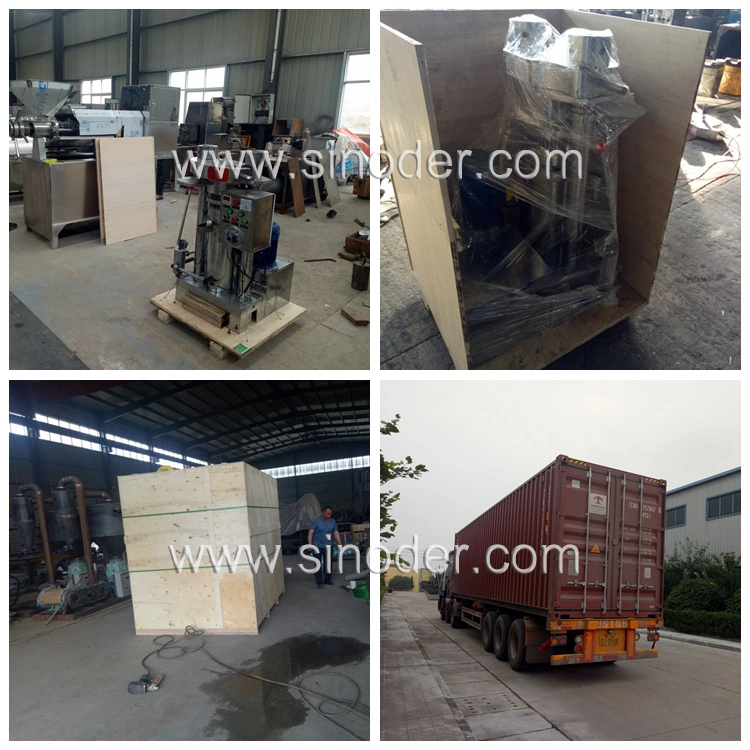 Screw Oil Press Machine Cold Oil Press Machine Soybean Oil Process Machine