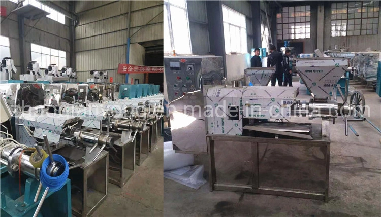 Stainless Steel Wheat Germ Palm Kernel Soya Seeds Oil Cold Press Machine