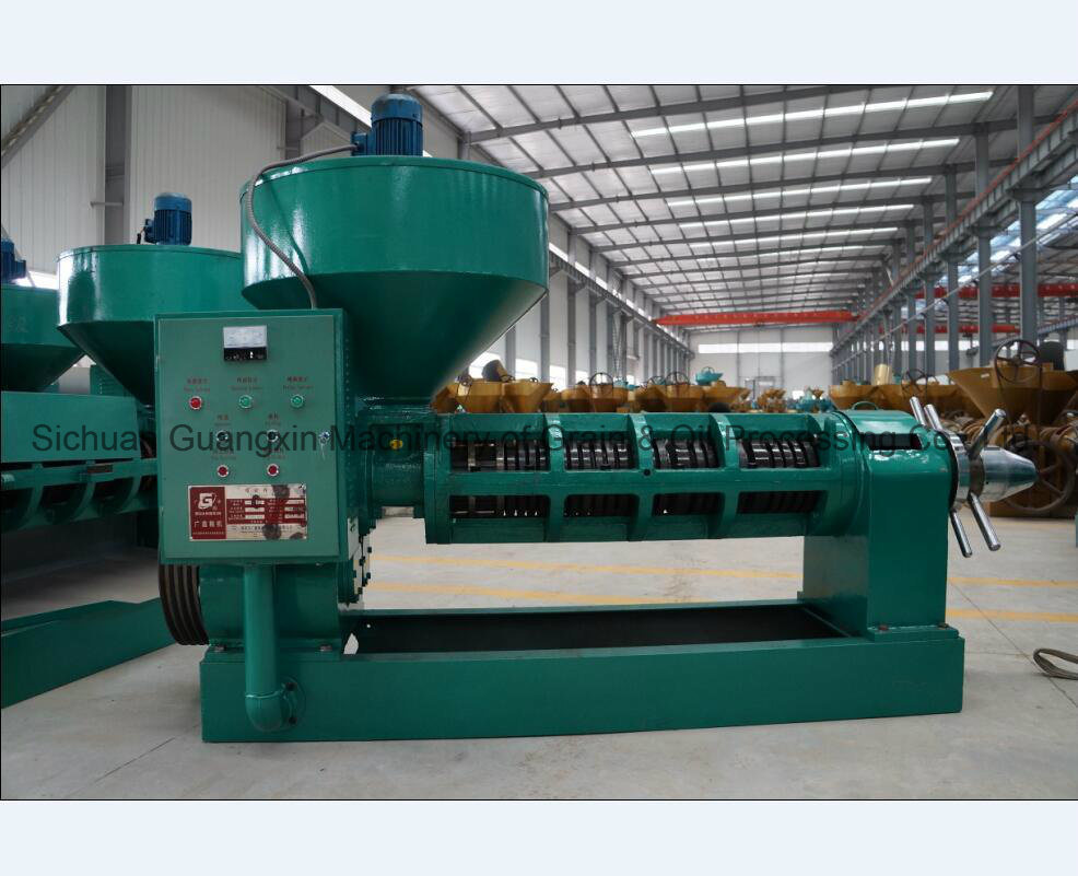 Screw Oil Press Rapeseed Oil Processing 20tons Daily Production Oil Mill