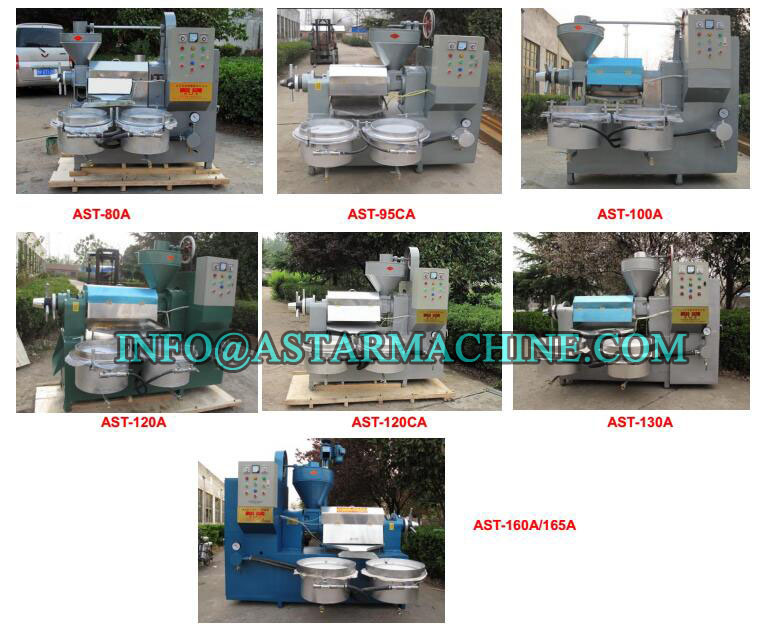 Tung Tree Seeds Oil Pressing Machine