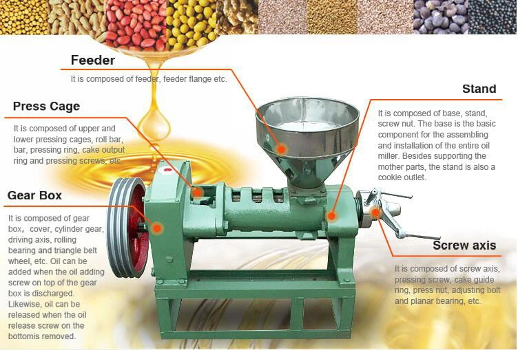 Africa Copra Oil Extraction Poppy Seeds Pumpkin Seeds Oil Presser Coconut Oil Cold Press Machine