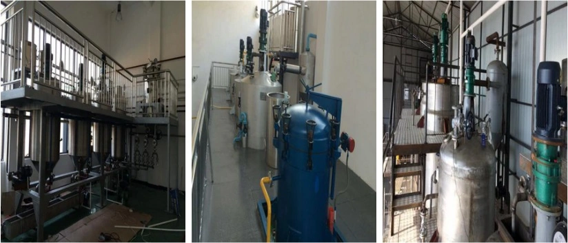 10tpd Batch and Physical Oil Refining Coconut Vegetable Oil Refinery Plant