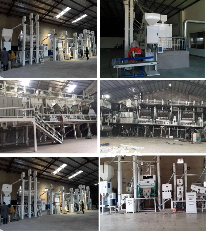 Hot Sale Automatic Complete Set Parboiled Rice Milling Equipment for Parboiled Rice Processing Plants