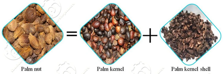 Palm Kernel Shell Malaysia Cracking Palm Kernel Processing Machine