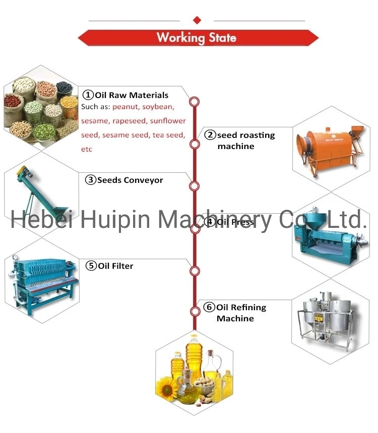Palm Kernel Physical Oil Expeller Machine