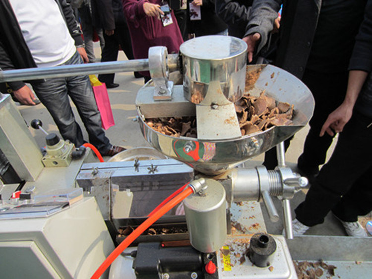 Peanut and Groundnut Oil Expeller Machine