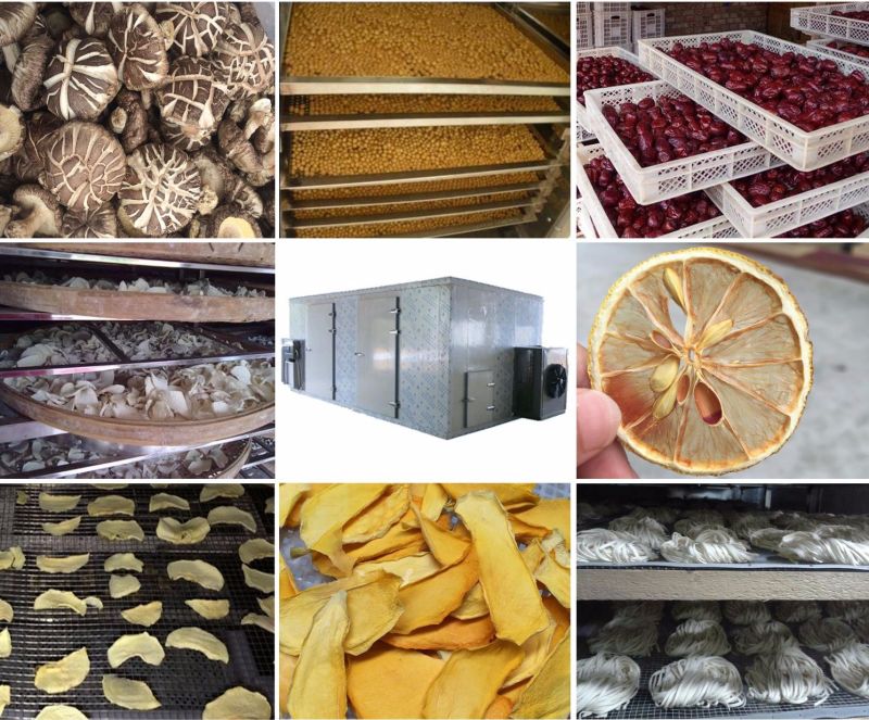 Dried Apple Chips Processing Machine/Small Fruit Drying Machine