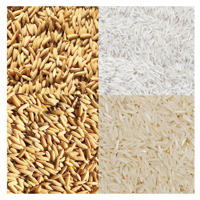Price of Paddy Parboiled Millet Basmati Rice Mill