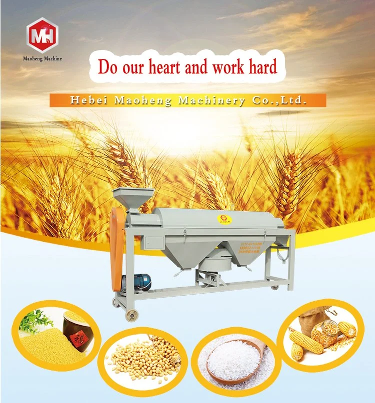 Seed Grain Beans Cleaning Machine/Beans Polishing/Bean Polisher Machine