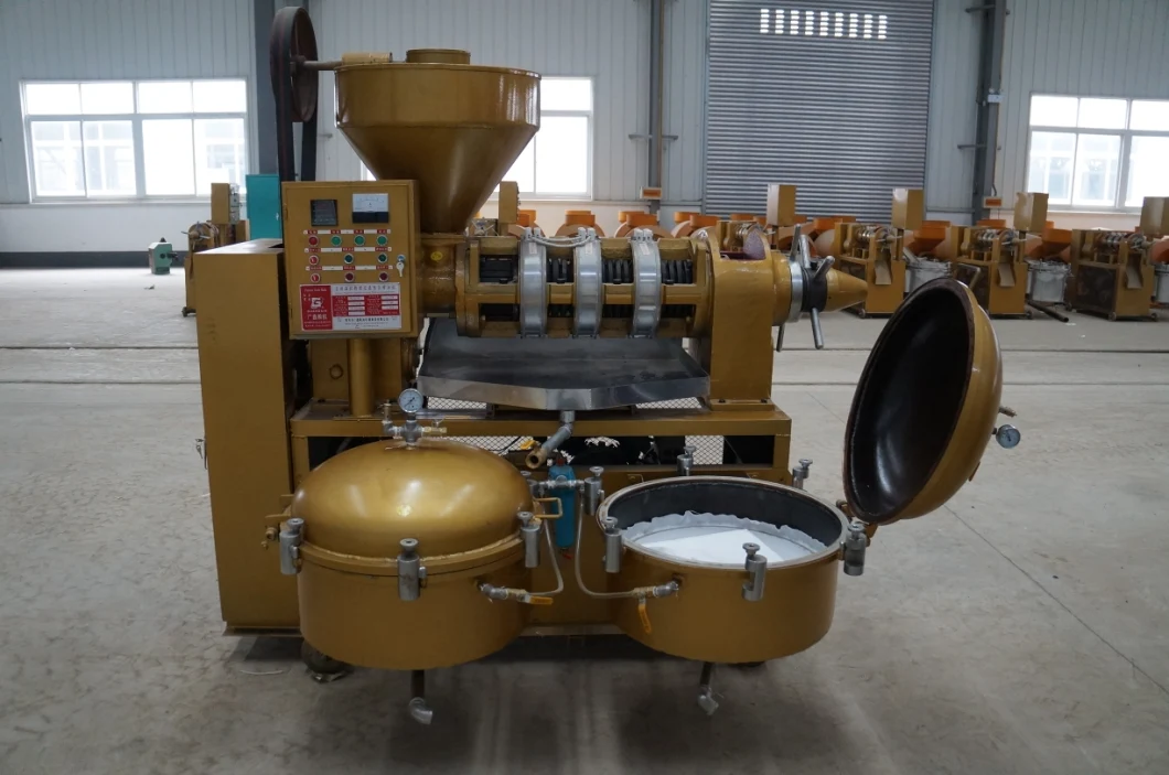 10tpd Automatic Palm Kernel Oil Press Machine Oil Expeller for Peanut, Sesame, Sunflower Yzlxq140