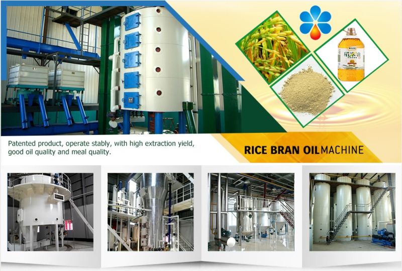 High Performance Rice Bran Cooking Oil Press Equipment