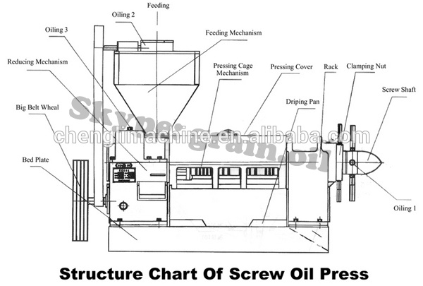 Commercial Mini Oil Press Machine Sunflower Oil Extractor Vegetable Seeds Oil Press