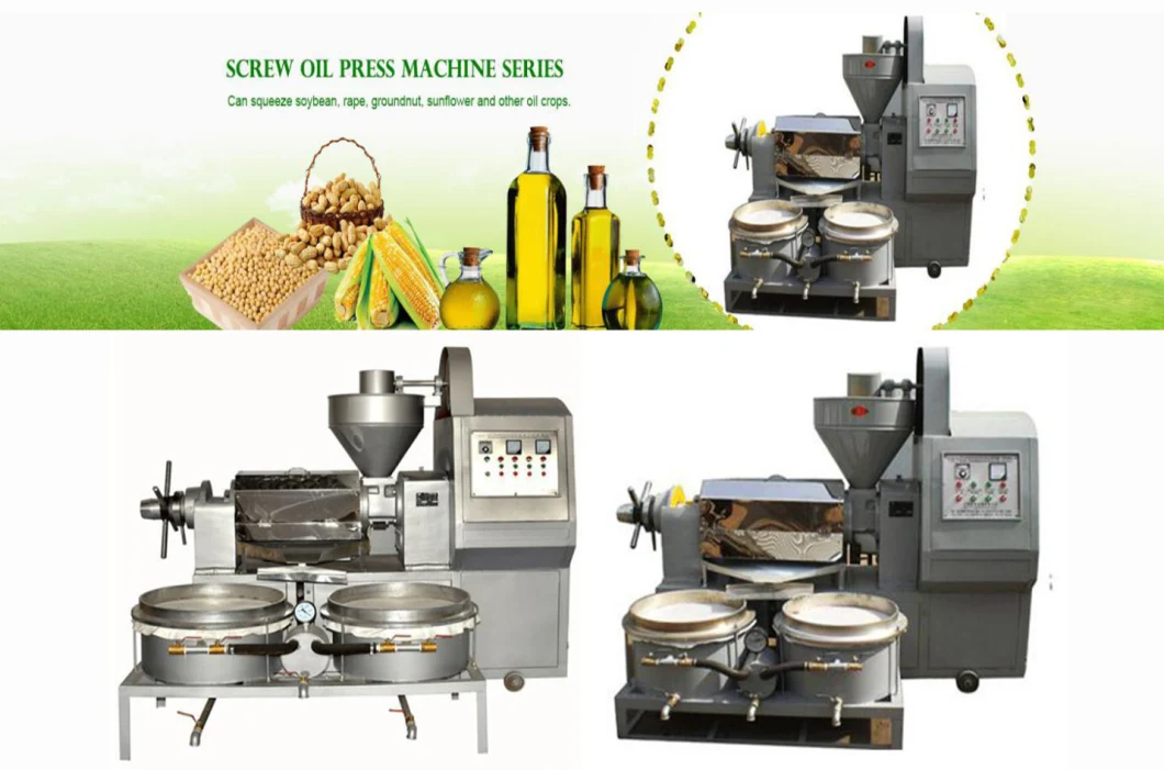 Ce Certification Rapeseed Screw Oil Press Machine and Palm Coconut Avocado Oil Extraction Machine