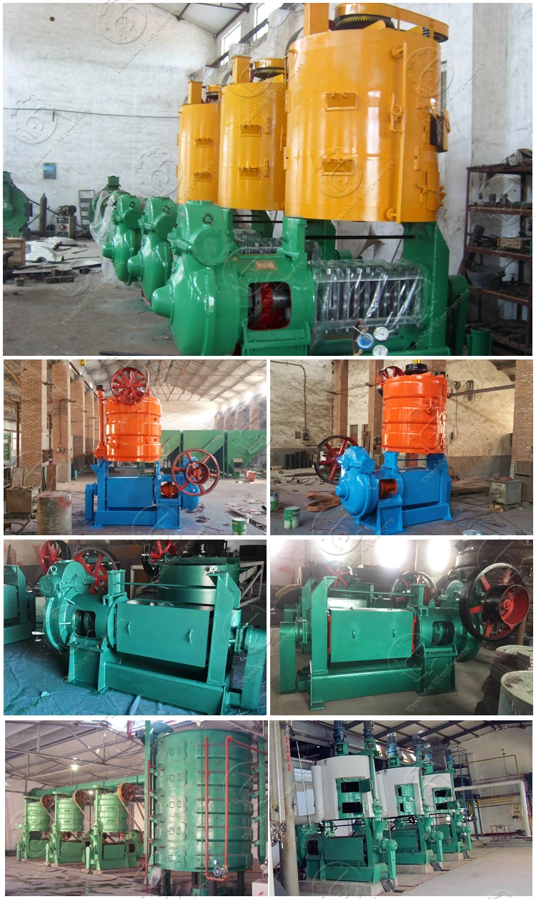 Castor Sunflower Oil Extraction Machine Coconut Oil Production Line