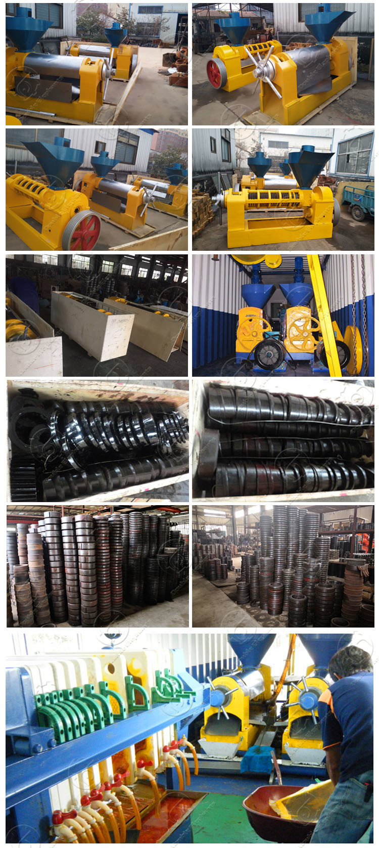 Professional Soyabean Coconut Sunflower Rice Bran Oil Making Machine Price