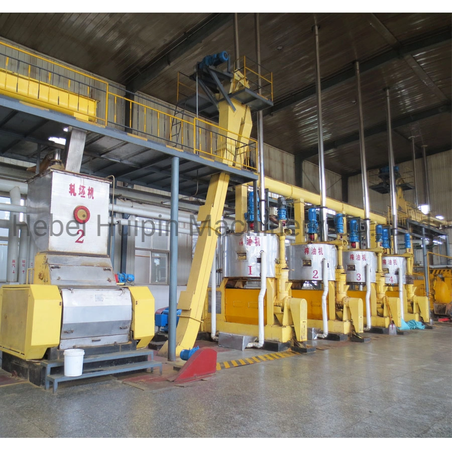 Sunflower Peanut Rapeseed Oil Press Extraction Production Line