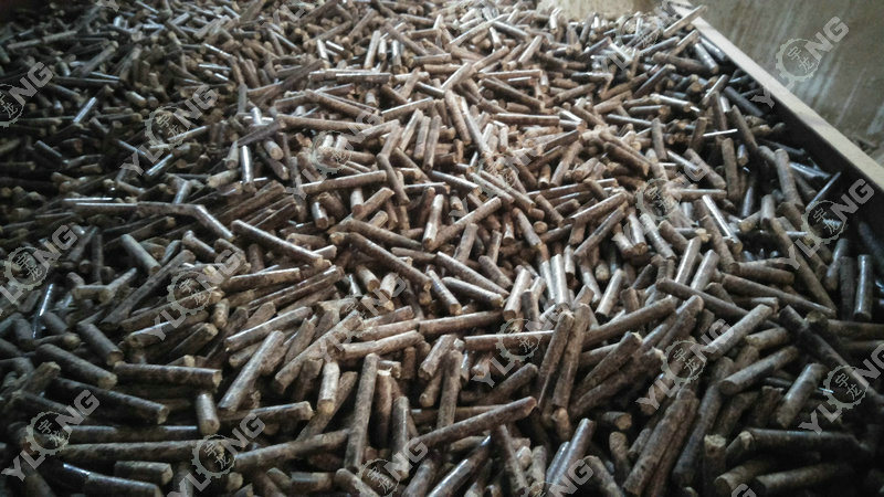 Capacity 2t/H Biomass Rice Husk Straw Sawdust Wood Pellet Production Making Machine