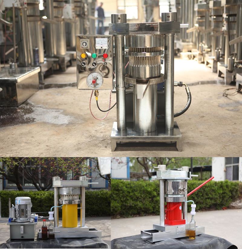 Oil Cold Press Machine and Hydraulic Oil Pressing Machine