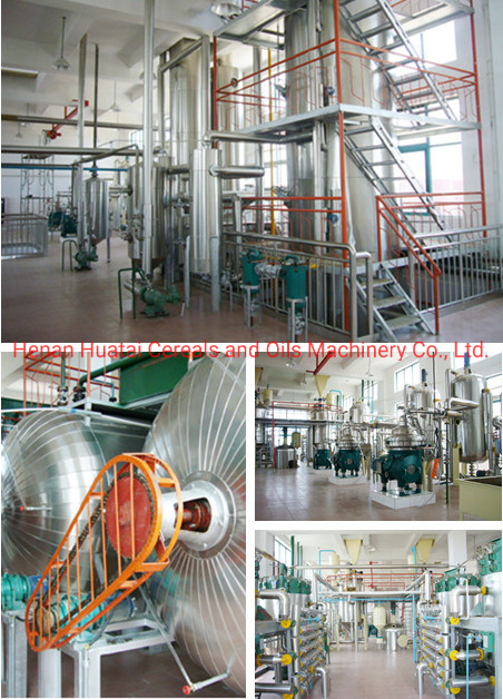 10 Professional Engineers Support Rice Bran Oil Production Line