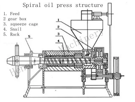 Screw Oil Press (6YL-160) , Peanut Oil Press, Edible Oil Press
