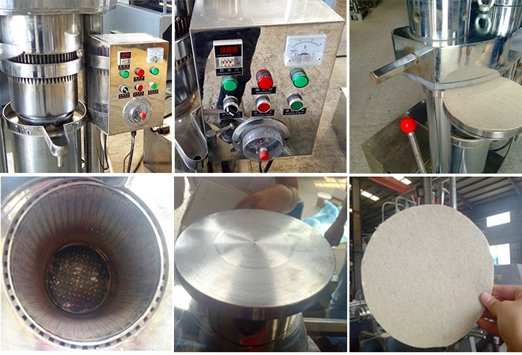 Cocoa Butter Hydraulic Oil Press Machine Caster Oil Making Machine Sesame Oil Expeller Olive Oil Mill