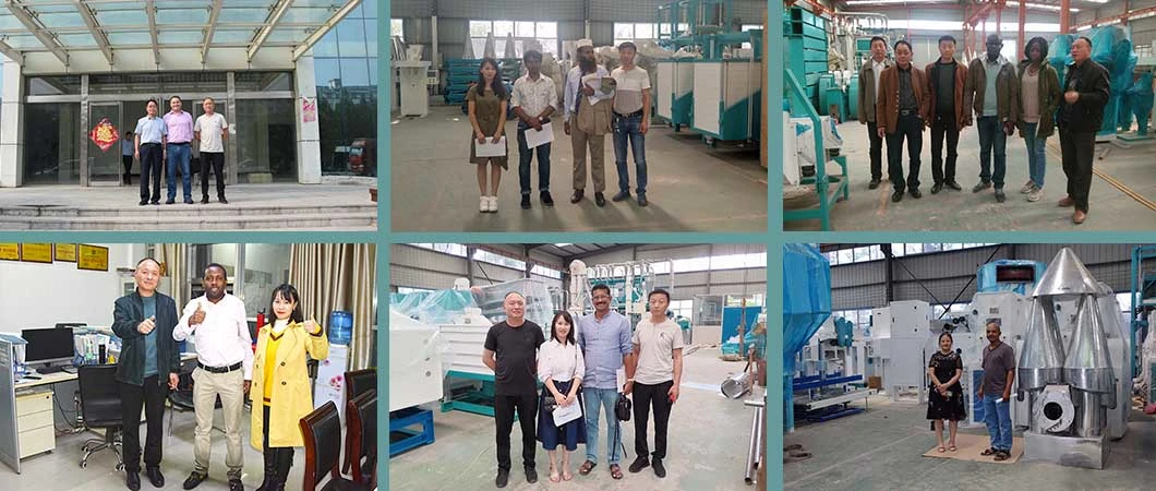 30tpd Rice Milling Machine for Sale/Medium Capacity Rice Mill Plant