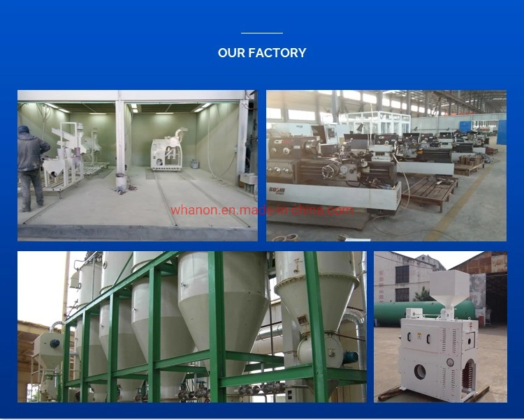 Anon Modern 50-60 Tons Rice Mill Hi Tech Rice Mill