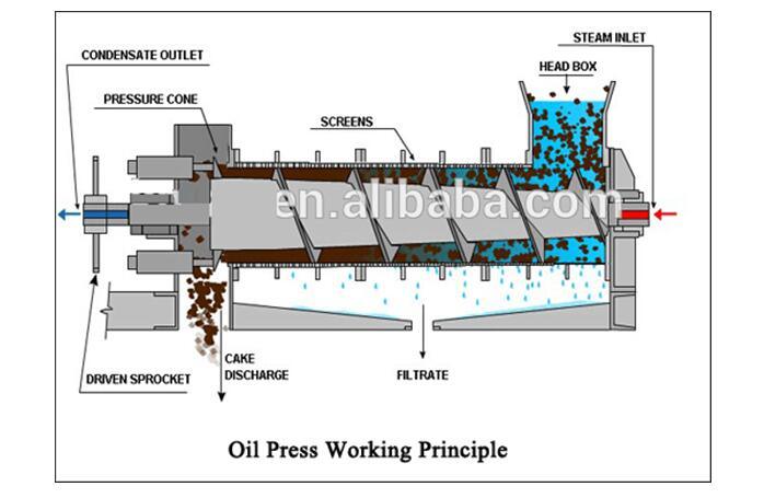 10tpd Oil Mill Production /Sunflower Oil Maslopress /Peanut Oil Press