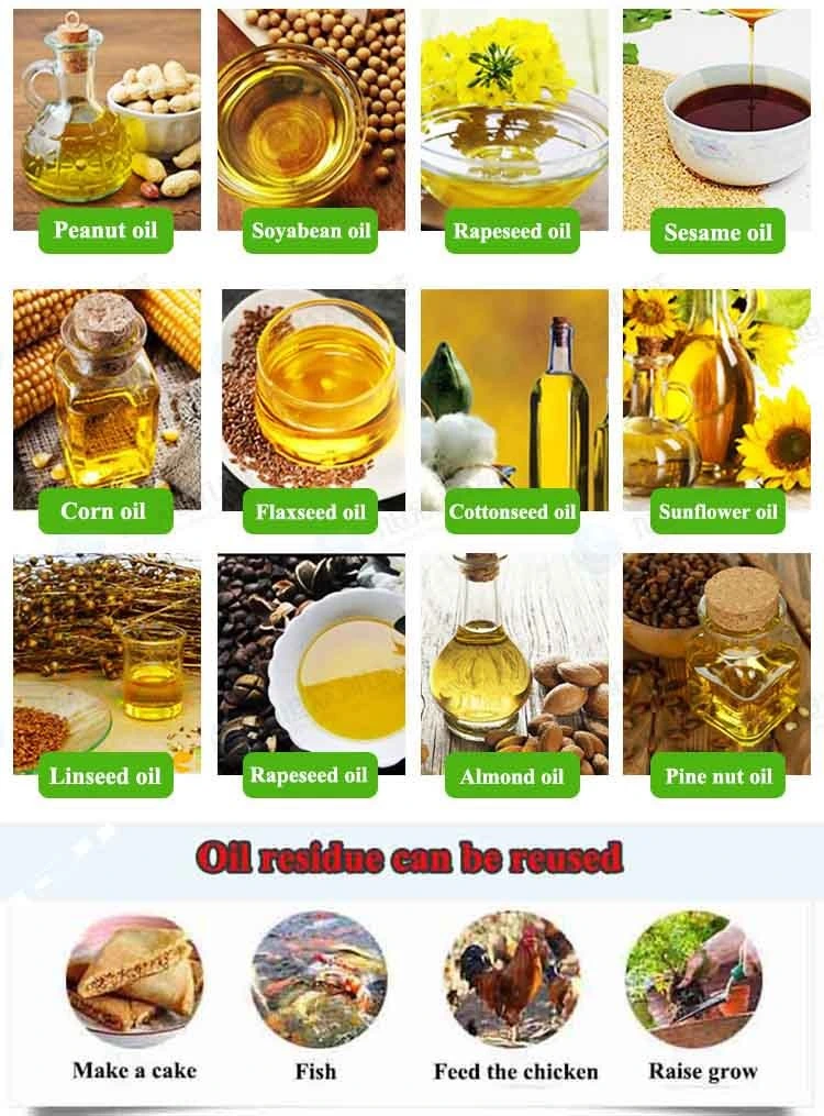 Geranium Oil Extract Machine Mustard Oil Mill Fully Automatic Pomegranate Oil Seed Extractor Machine