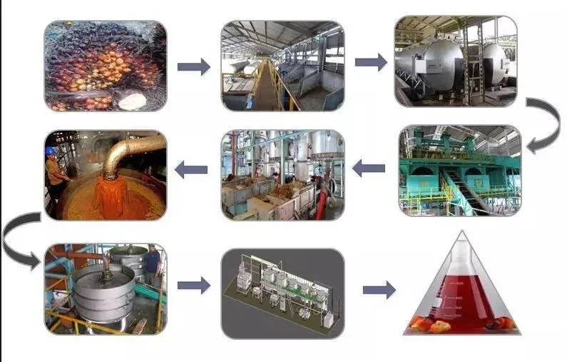 Palm Oil Extraction Machine Oil Mill Process and Palm Oil Pressing Production Line