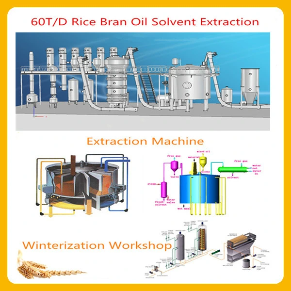 Agricultural Machinery Rice Bran Oil Processing Machinery Rice Bran Oil Extraction Mill Plant