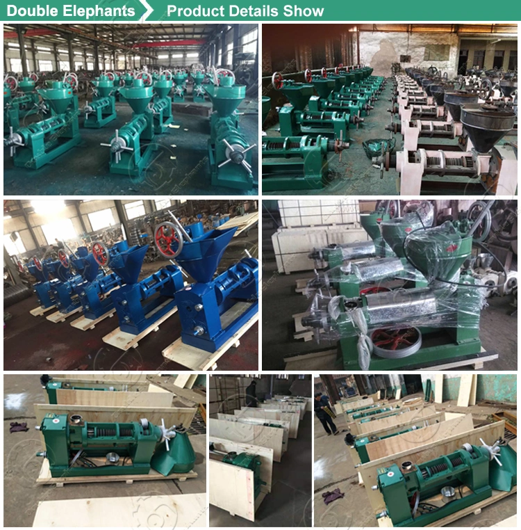 Screw Cold Press Palm Kernel Sunflower Seed Oil Extraction Machine