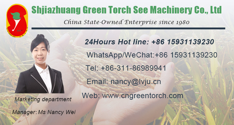 Grain Cleaner Seed Cleaning Machine for Wheat Maize Sesame Paddy