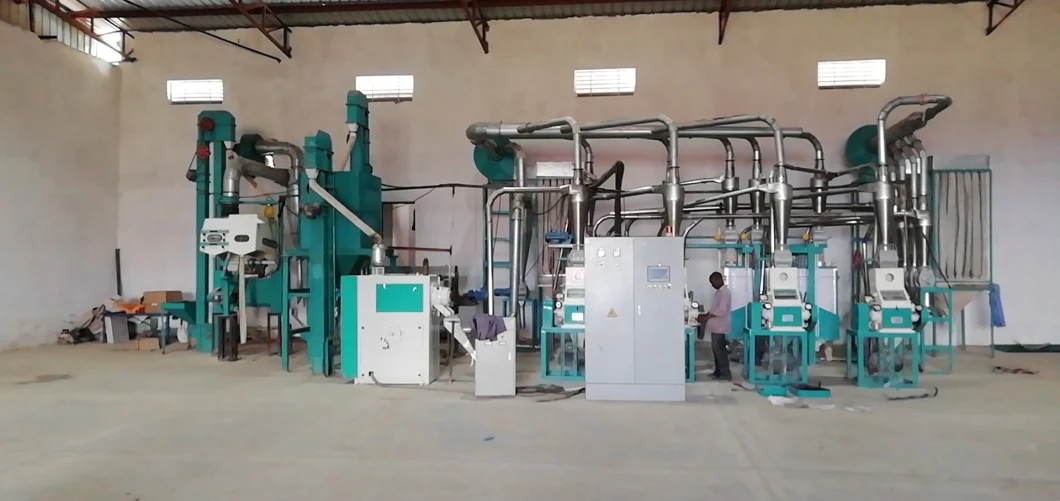 Automatic 20t/24h Maize Meal Processing Machinery Maize Grits Corn Flour Mill Machine