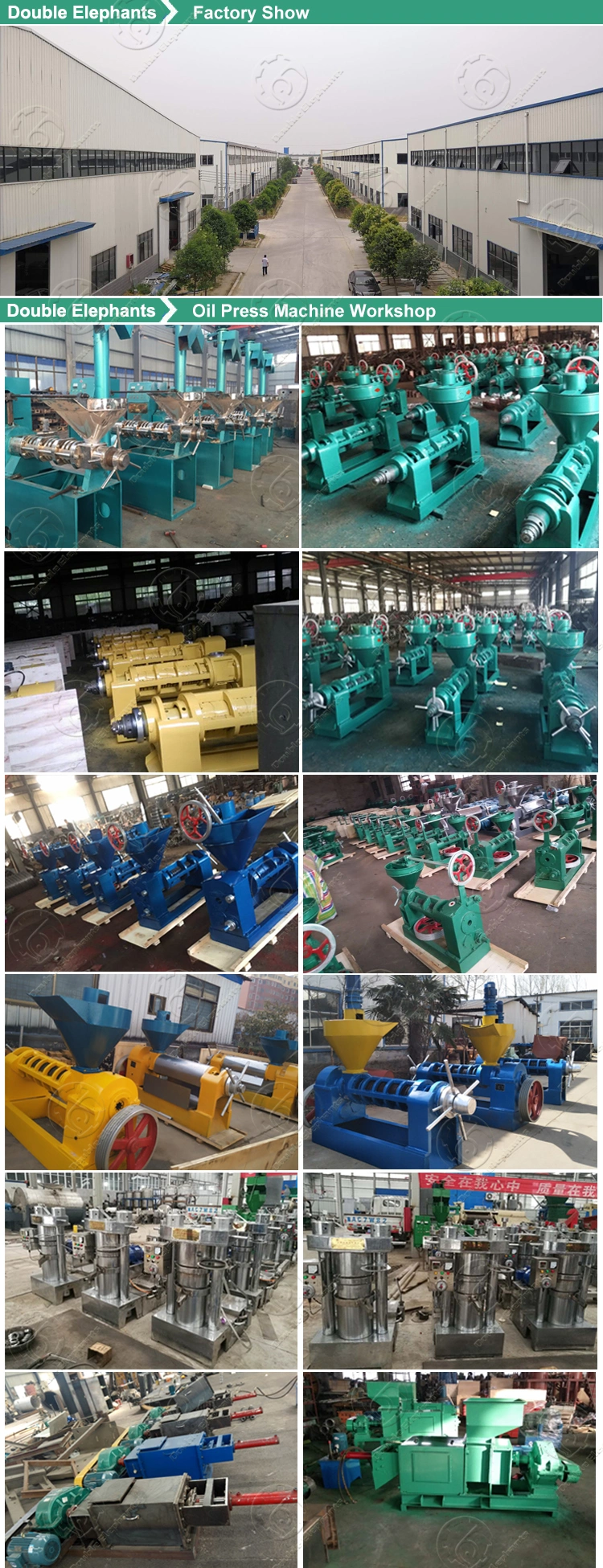 Niger Oil Press Commercial Press Oil Seed Coconut Oil Cold Processing Machine