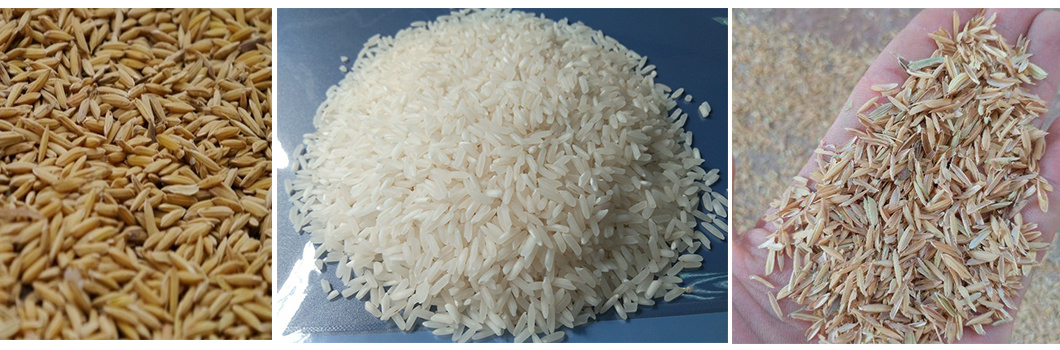 Combined Mini Rice Mill / Rice Mill Machinery Price