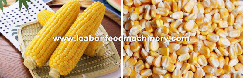 Corn Processing Machine Grain Maize Grinding Corn Shelling Machine Flour Mill