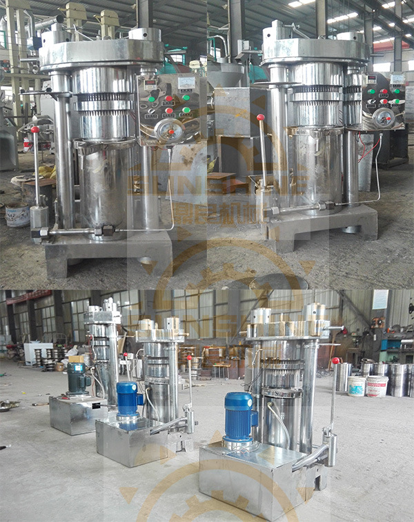 Olive Moringa Oil Press 6yz-280 Peanut Oil Mill Machinery