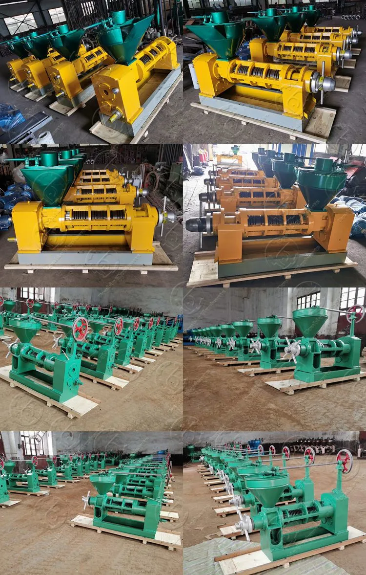 6yl-95/Zx-10 Small Groundnut Palm Kernel Oil Extraction Press Machine