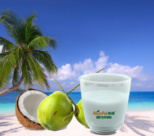 Manufacturer Direct Supply Coconut Milk Powder/ Coconut Water Powder/ Coconut Powder/Coconut Juice Powder