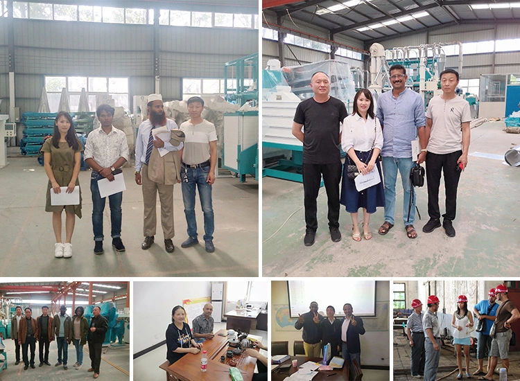 ISO Completed Maize Corn Millet Rice Wheat Flour Mill/Milling Machine Machinery