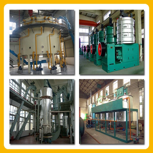Agricultural Machinery Rice Bran Oil Extractor Rice Bran Oil Refining Machine