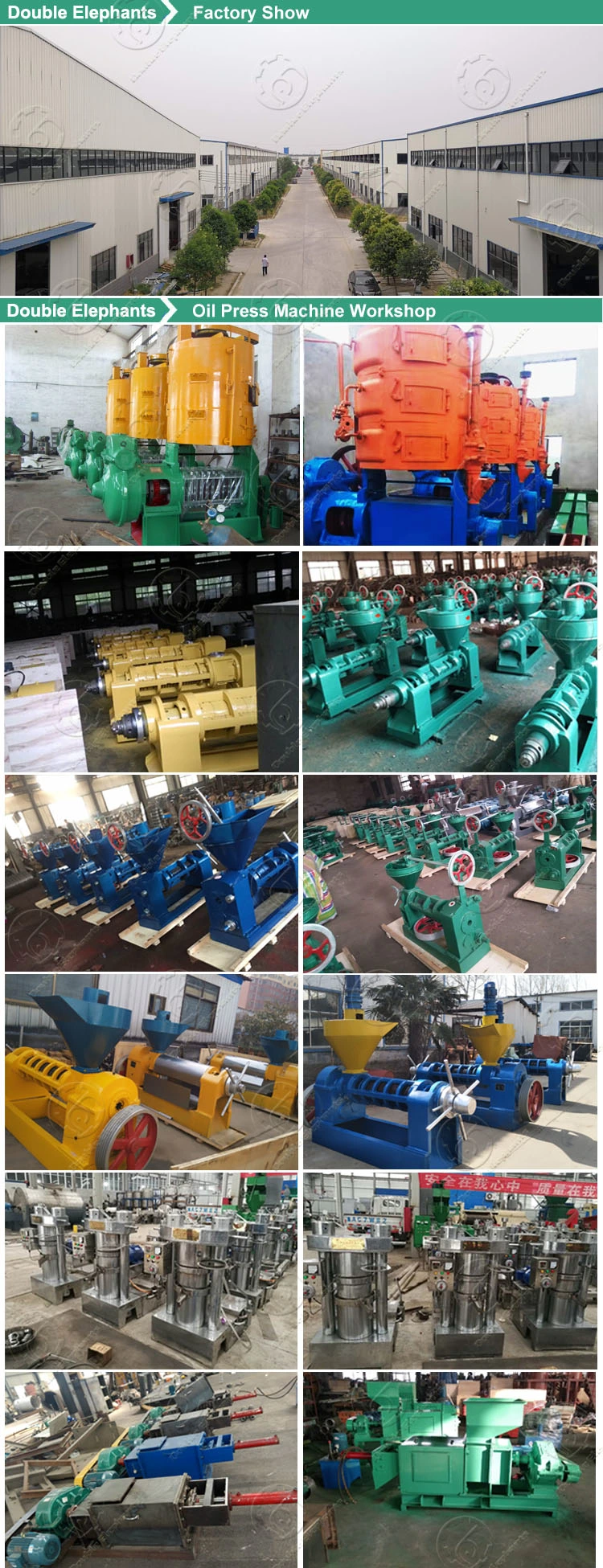 Castor Peanut Coconut Oil Press Machine Rapeseed Oil Production Line