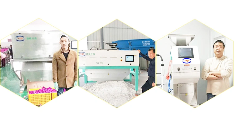 CCD LED Rice Color Sorter Machine Automatic Rice Mill Machine