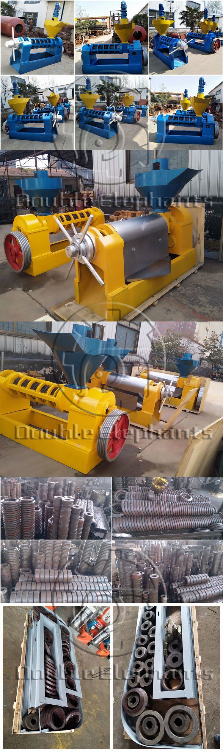 150-200kg/H Automatic Almond Palm Kernel Oil Extraction Machine
