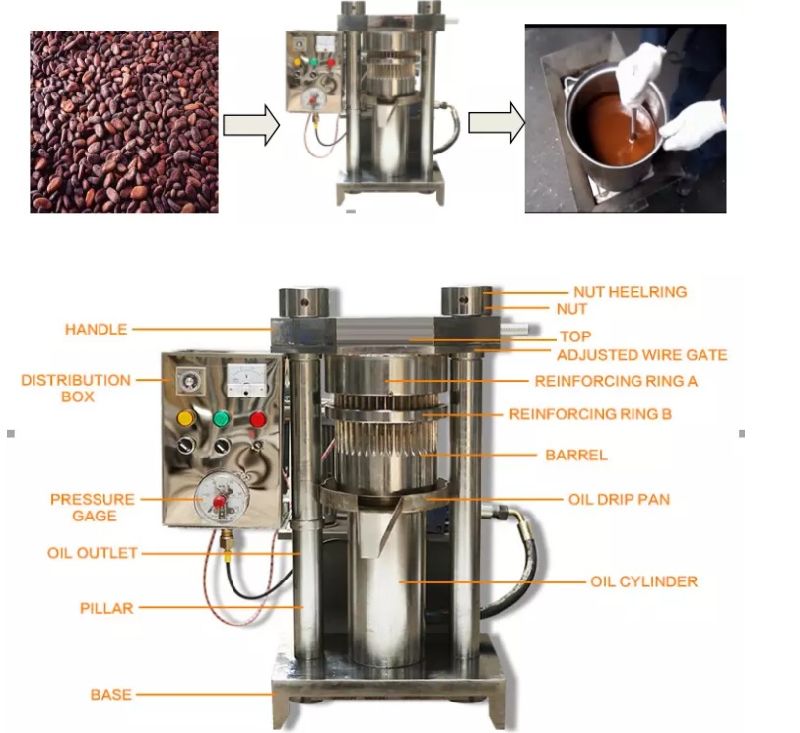 Nut Seed Oil Sesame Oil Extraction Walnut Oil Pressing Machine