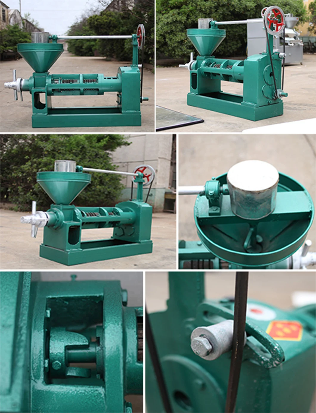 6yl -100 Rosehip Avocado Cold Press Vegetable Oil Extractor Palm Kernel Oil Processing Machine