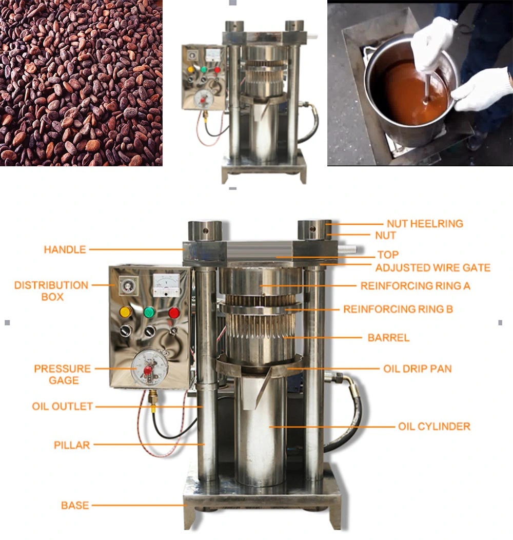 Stainless Steel Hydraulic Peanut Oil Press Machine and Sesame Oil Extraction Machine